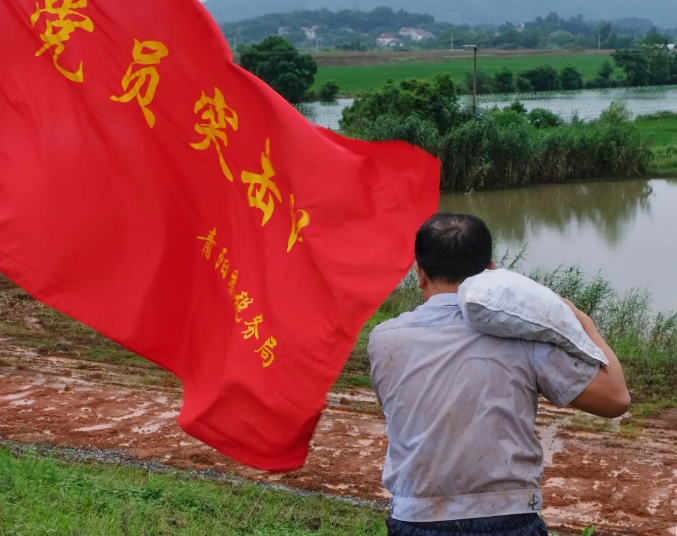 抗洪一線，有安徽稅務(wù)人的身影