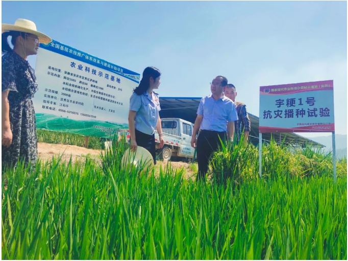 稅收優(yōu)惠讓企業(yè)發(fā)展動(dòng)力更足、底氣更旺！